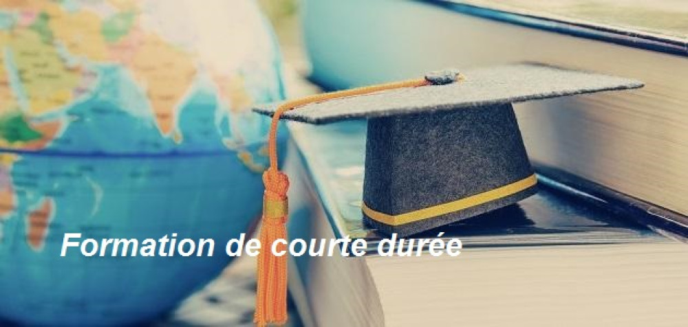 التكوين قصير المدى بالخارج